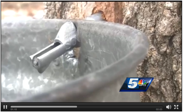 Rock Point School on WPTZ_Maple sugaring tap