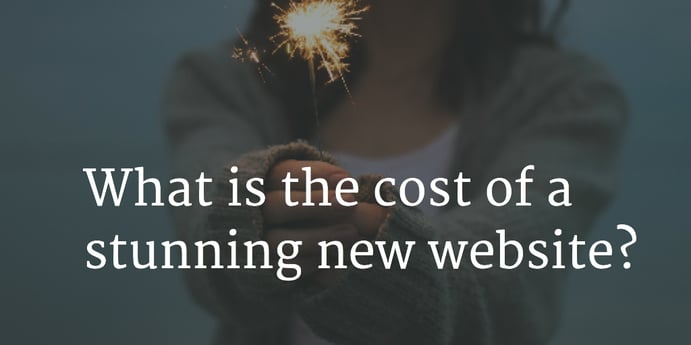 what-is-the-cost-of-a-new-website.png