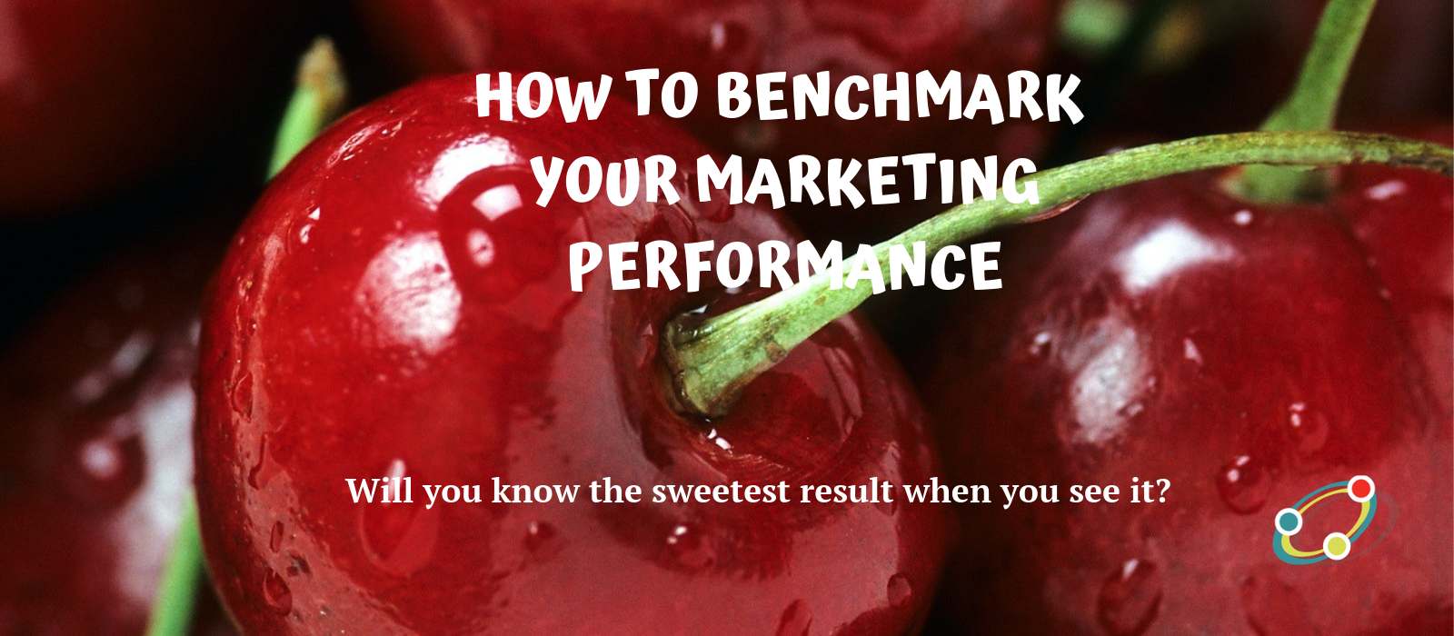 How-to-Benchmark-Your-Performance_close-up image of cherries