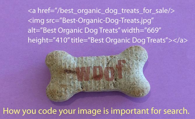 best-organic-dog-treat.jpg