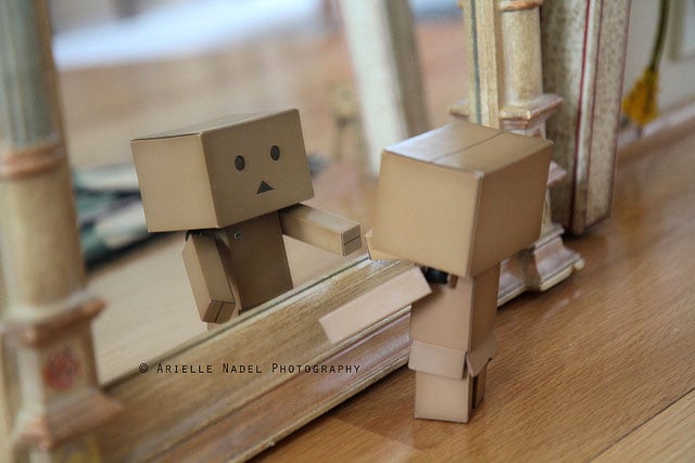 Whats-In-It-For-Me image of Danbo looking at itself in a mirror