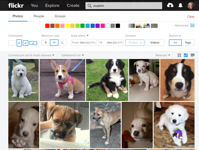 Flickr - advanced-search for puppies - ScreenShot