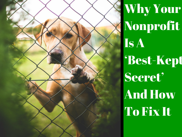 Dog hidden behind a fence representing Why-Your-Nonprofit-Is-a-secret