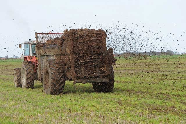 spreading farm manure: representing a Reluctant Marketer_flickr