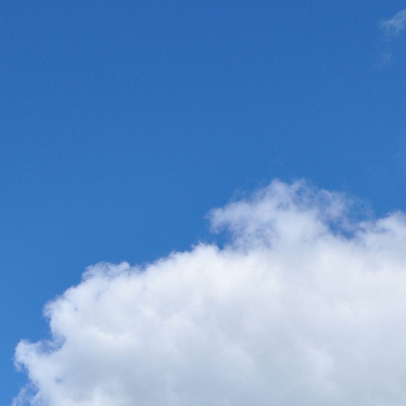AADMM_banner_blue-sky_800x800