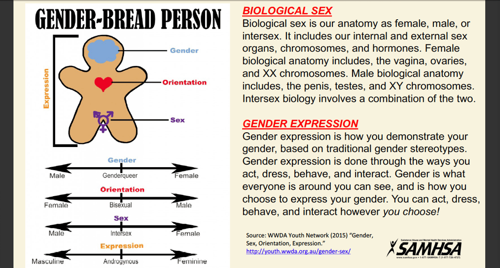 Inclusive Language_Gender-Bread-Person2_SAMHSA