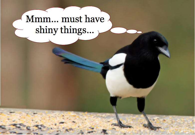 Magpie2 bird_i-love-shiny-things