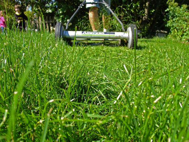 reframing my lawn_rotary_morguefile