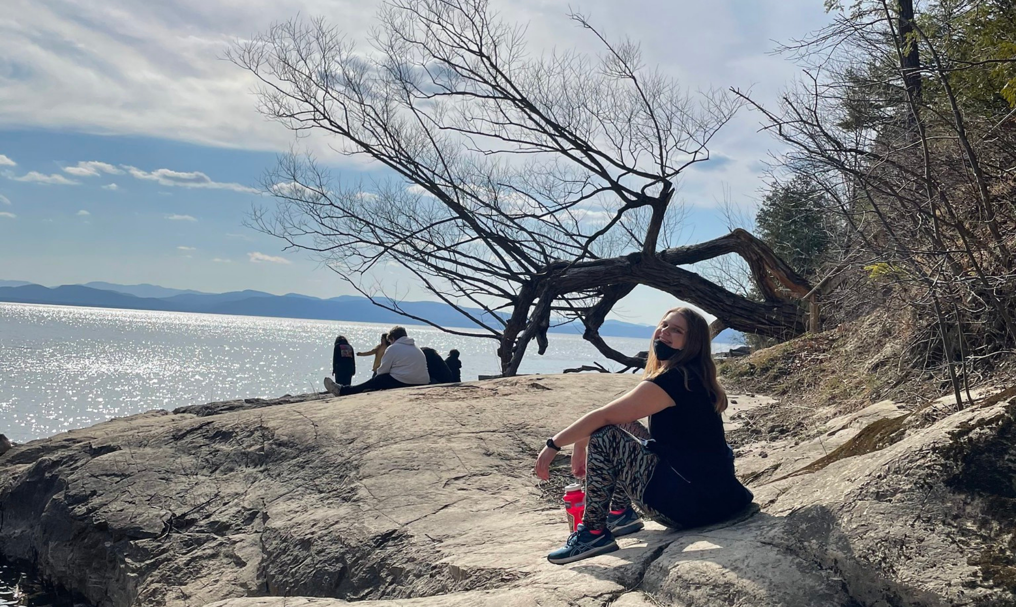 image column 4 widget_44459439722