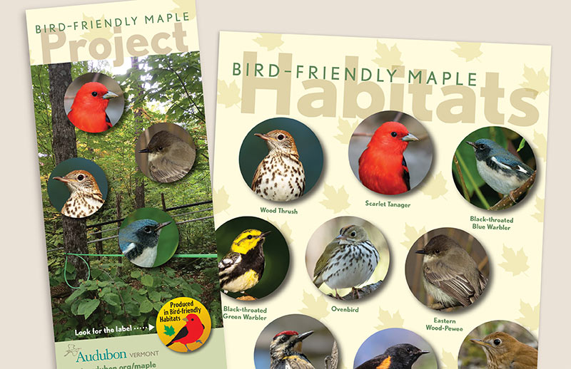 Bird Friendly Maple brochure trifold and poster
