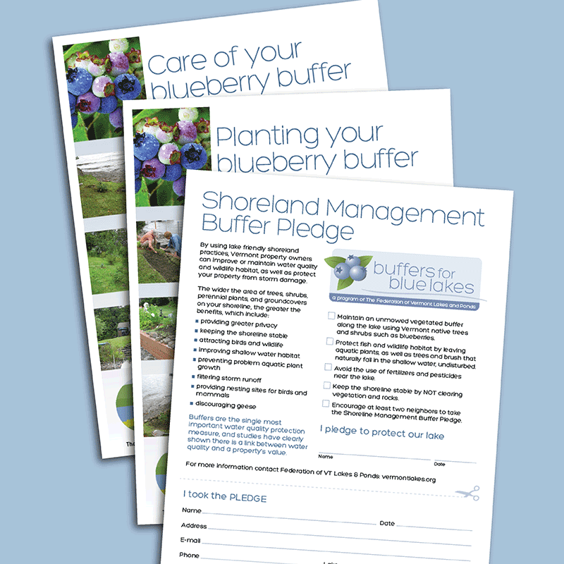 FOVLAP_case-study_buffer_pledge_800x800