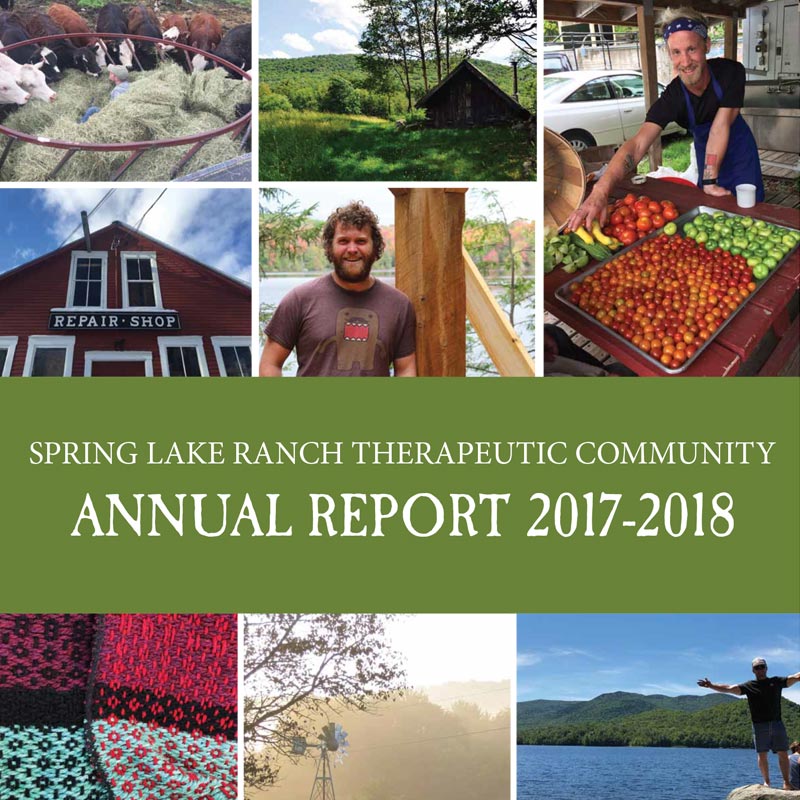 annual report 2018
