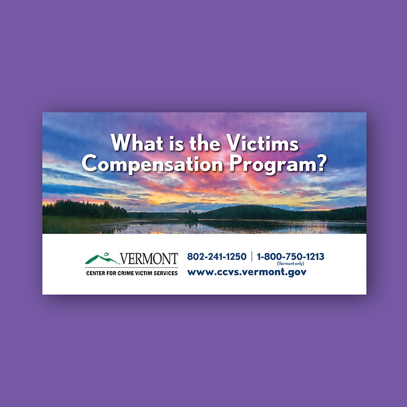 VCCVS program video slate