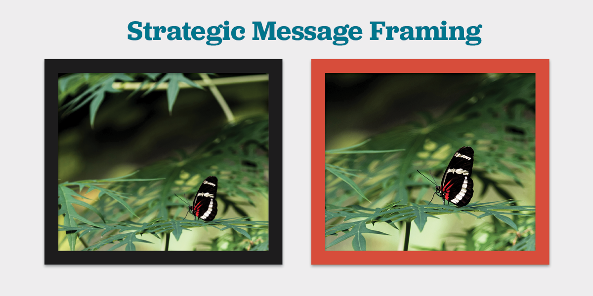 Guide to Strategic Message Framing and Reframing Marketing Partners