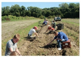 RPS_planting-rows